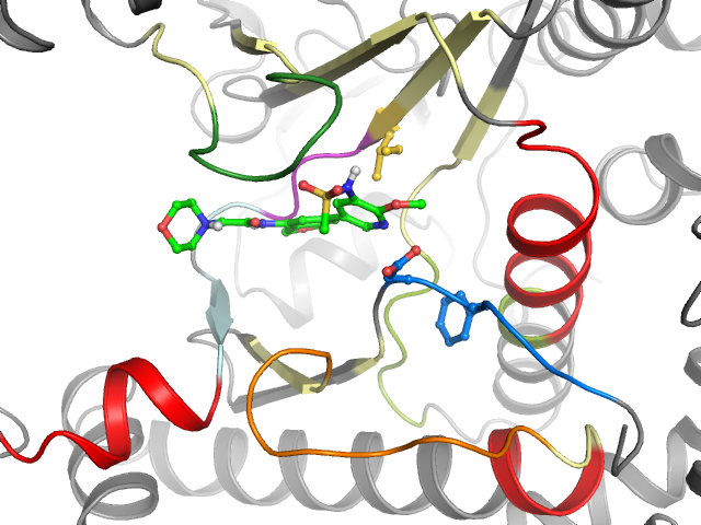 The orthosteric binding pocket