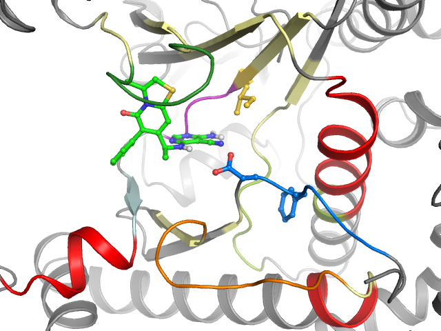 The orthosteric binding pocket