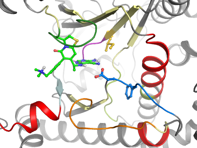 The orthosteric binding pocket