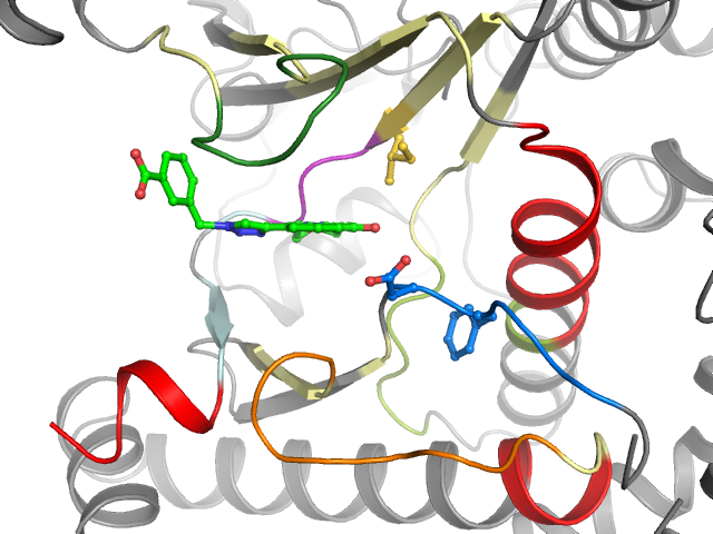 The orthosteric binding pocket
