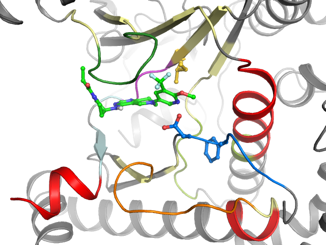 The orthosteric binding pocket