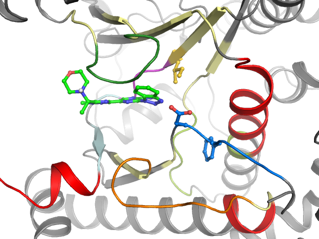 The orthosteric binding pocket
