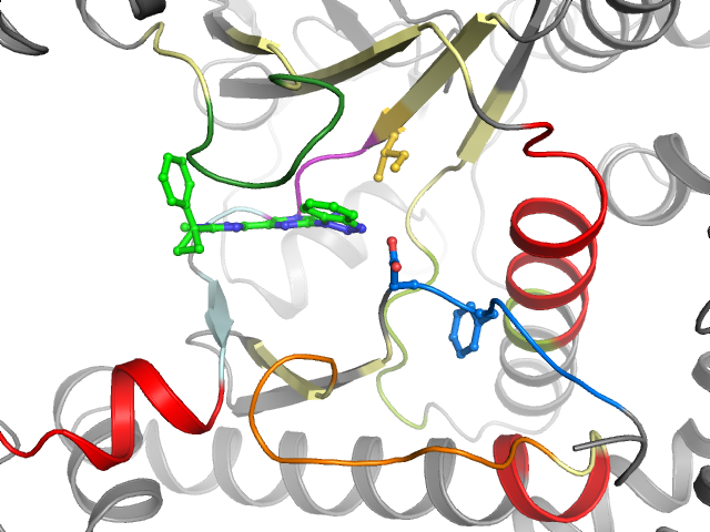 The orthosteric binding pocket