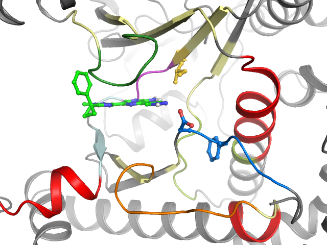 The orthosteric binding pocket