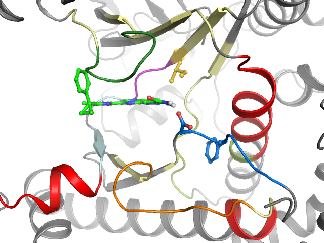 The orthosteric binding pocket