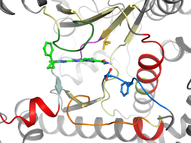 The orthosteric binding pocket
