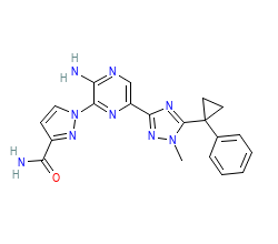2D structure of the orthosteric ligand