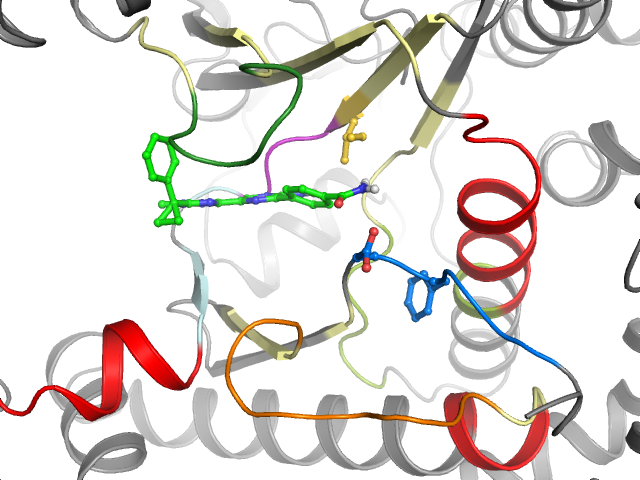 The orthosteric binding pocket