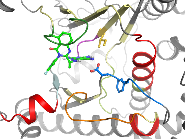The orthosteric binding pocket