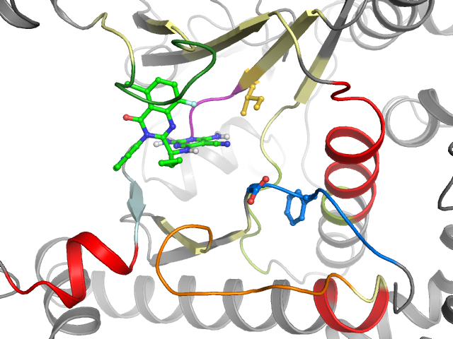 The orthosteric binding pocket