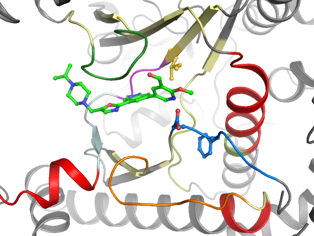 The orthosteric binding pocket