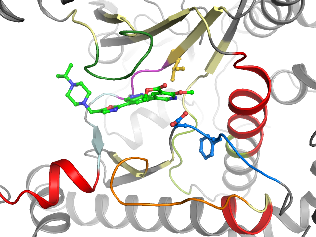 The orthosteric binding pocket