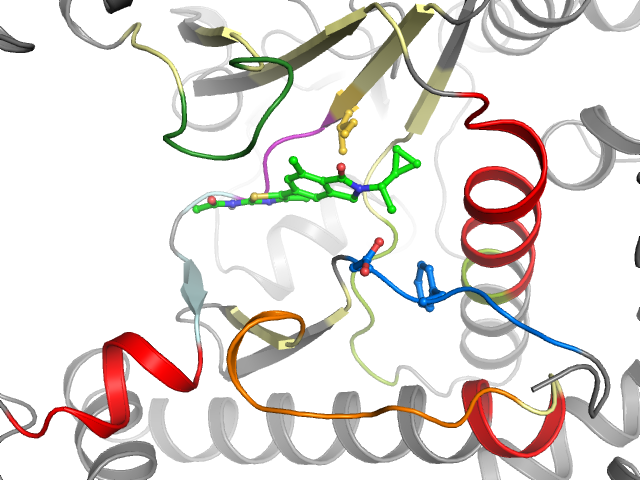 The orthosteric binding pocket