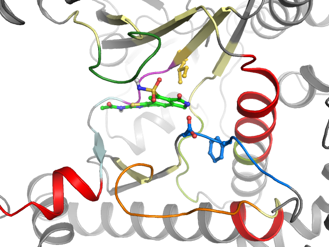 The orthosteric binding pocket