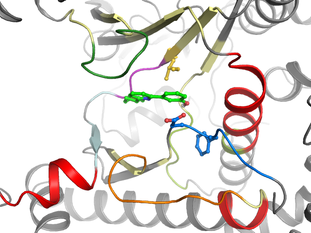 The orthosteric binding pocket