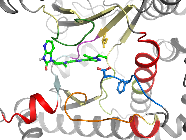 The orthosteric binding pocket