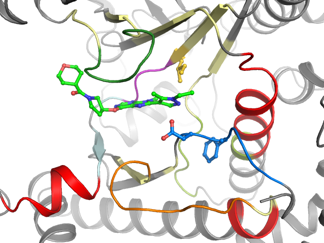 The orthosteric binding pocket
