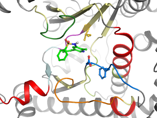 The orthosteric binding pocket