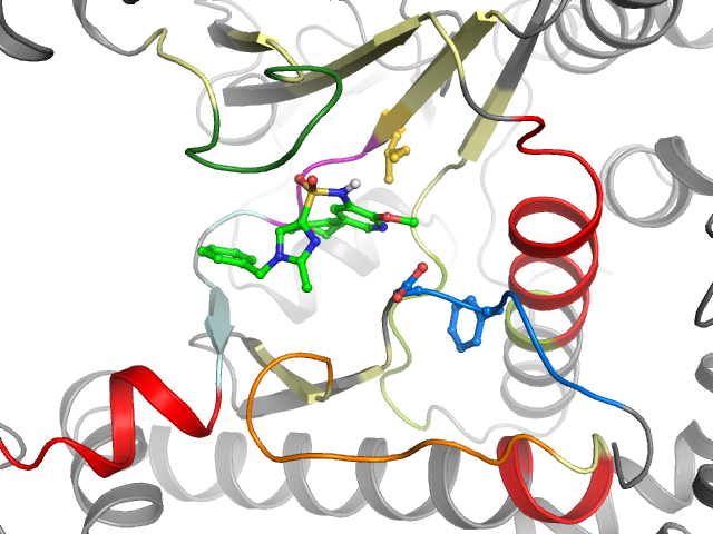 The orthosteric binding pocket