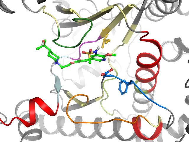 The orthosteric binding pocket