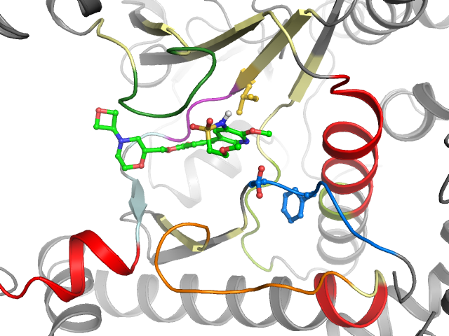 The orthosteric binding pocket