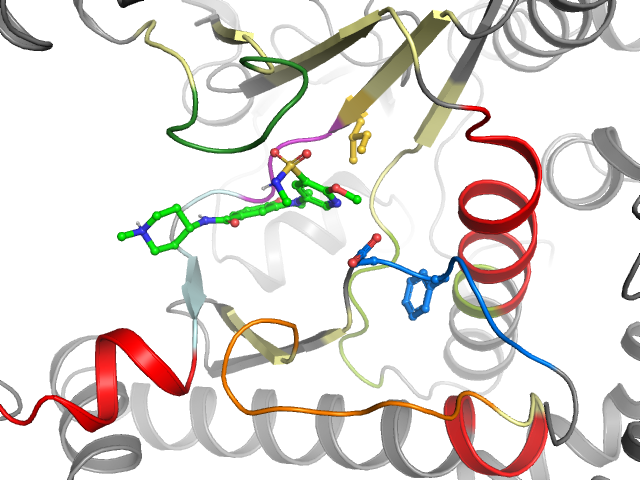 The orthosteric binding pocket