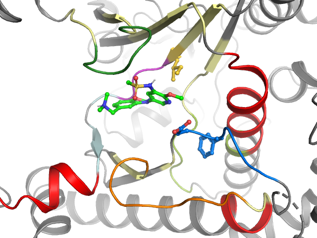 The orthosteric binding pocket