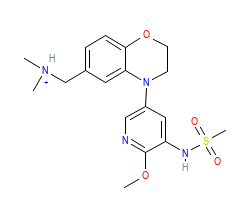 2D structure of the orthosteric ligand