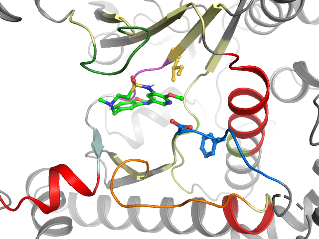 The orthosteric binding pocket
