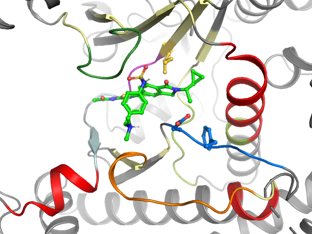The orthosteric binding pocket