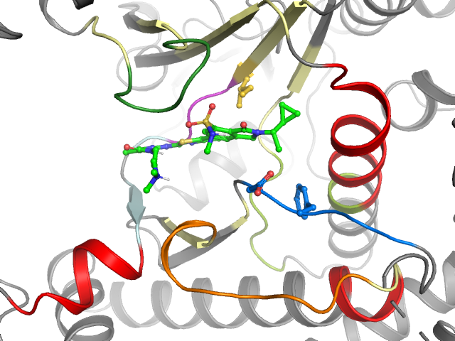 The orthosteric binding pocket