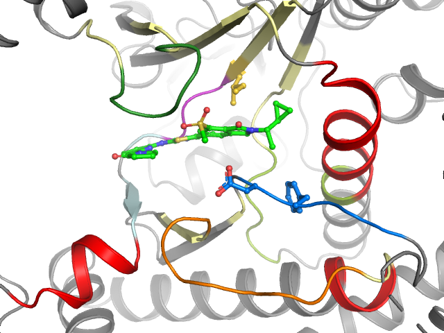 The orthosteric binding pocket