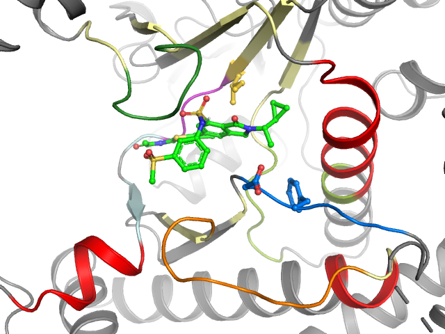 The orthosteric binding pocket