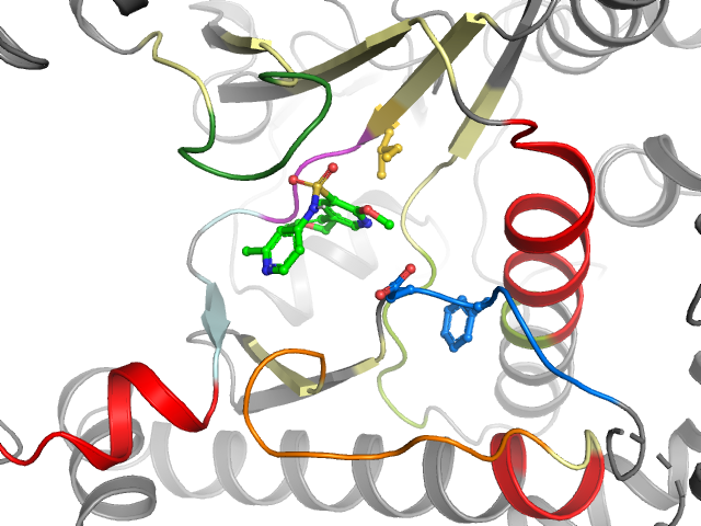 The orthosteric binding pocket