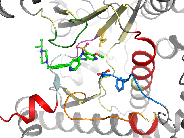 The orthosteric binding pocket