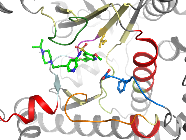 The orthosteric binding pocket