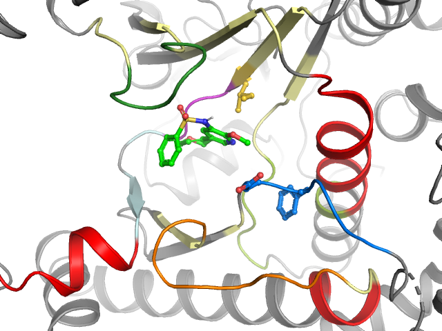 The orthosteric binding pocket