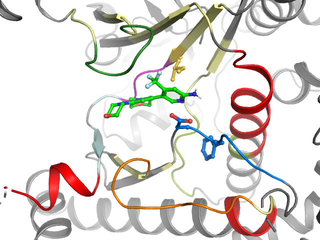 The orthosteric binding pocket