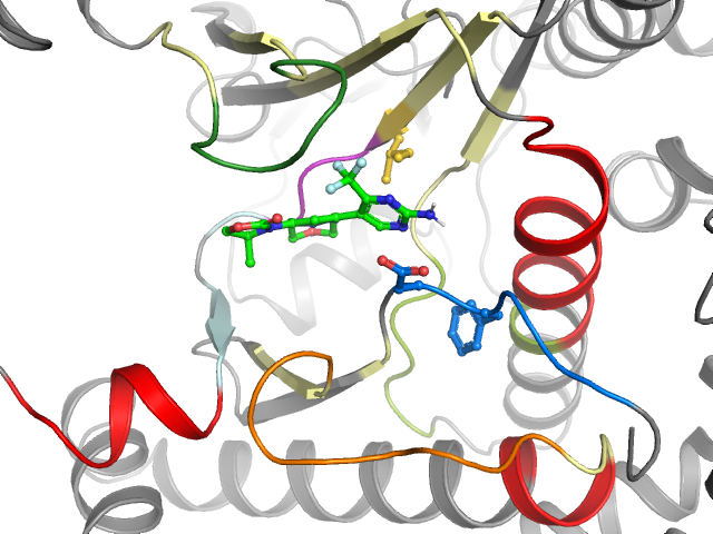 The orthosteric binding pocket