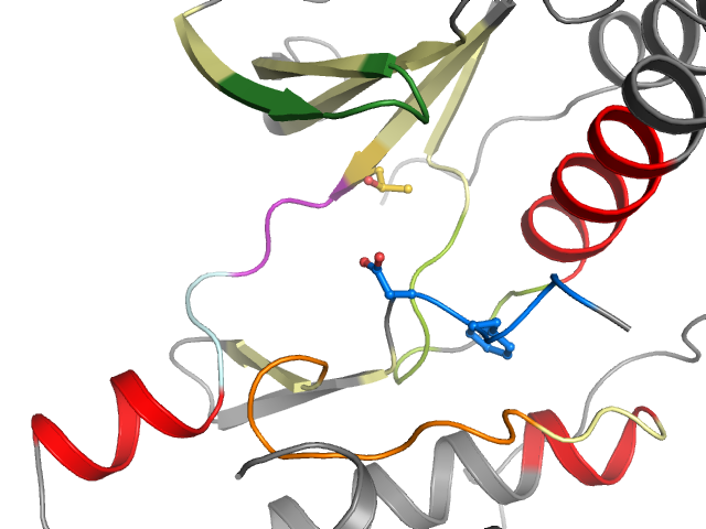 The orthosteric binding pocket