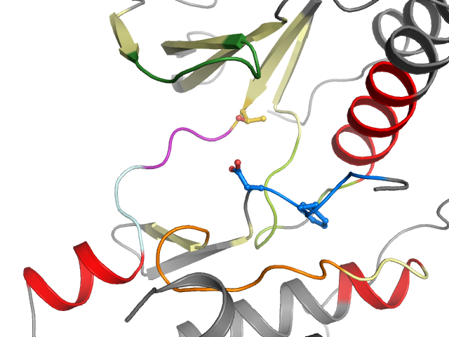 The orthosteric binding pocket
