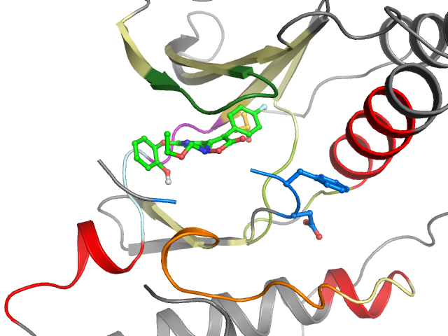 The orthosteric binding pocket