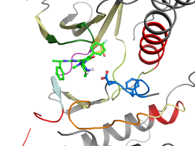 The orthosteric binding pocket