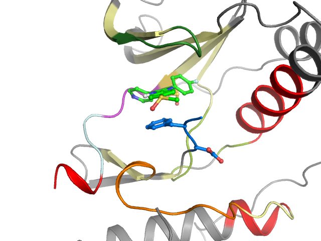 The orthosteric binding pocket