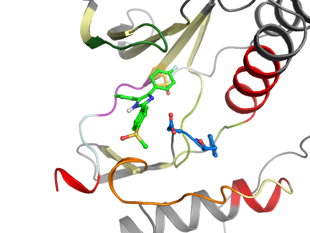 The orthosteric binding pocket