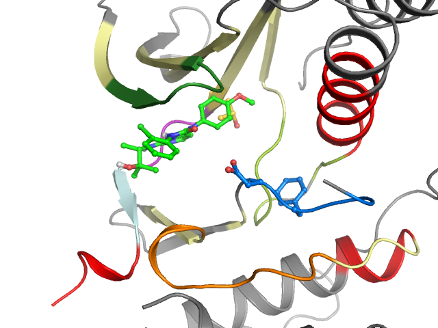 The orthosteric binding pocket