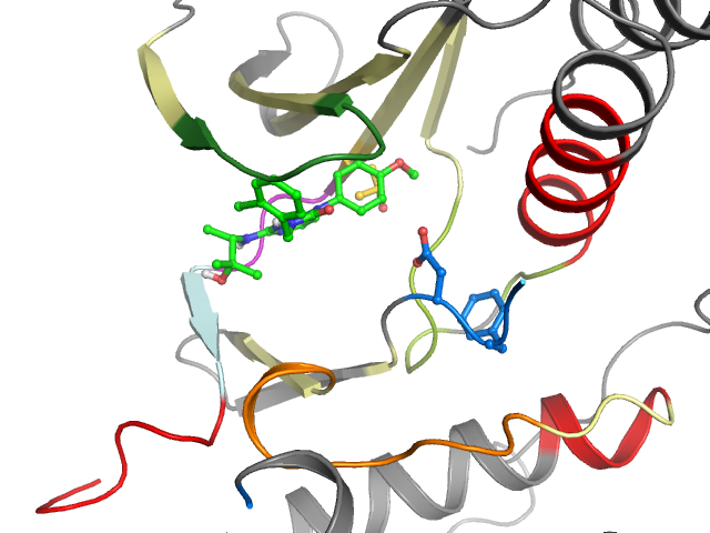 The orthosteric binding pocket