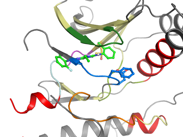 The orthosteric binding pocket