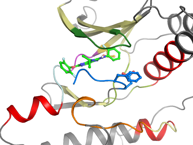 The orthosteric binding pocket