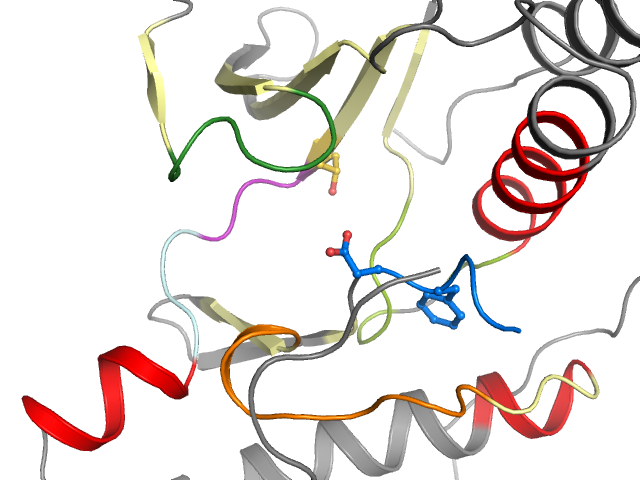 The orthosteric binding pocket